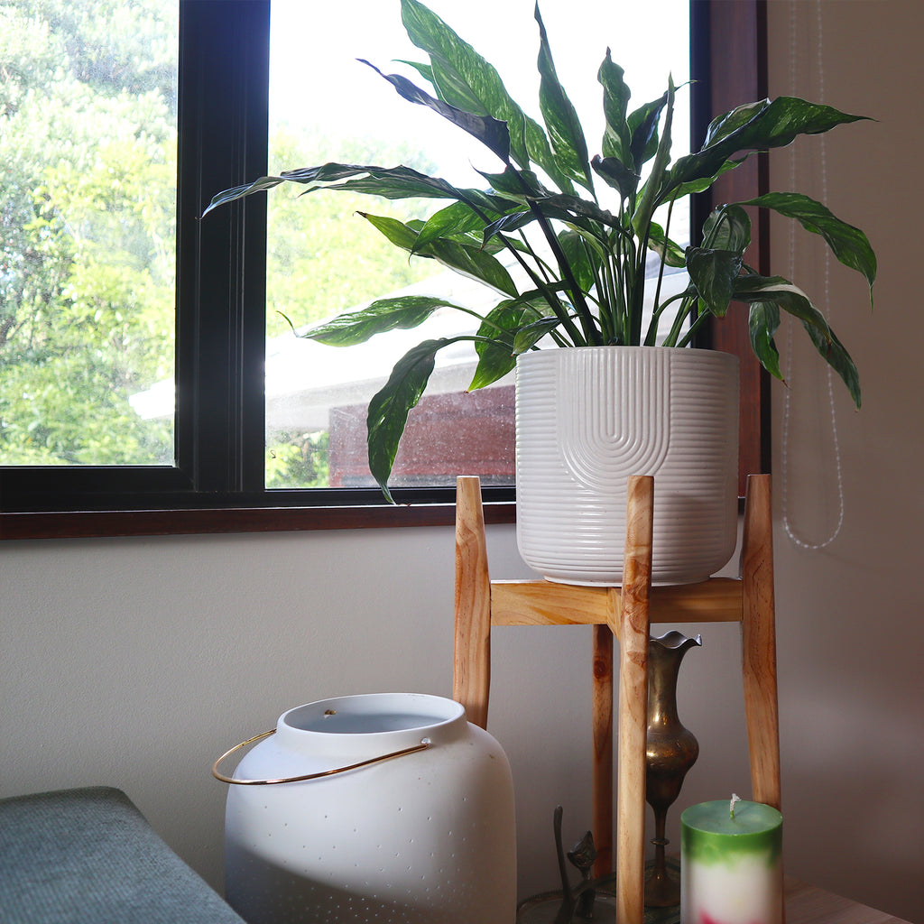 Japandi Plant Stand
