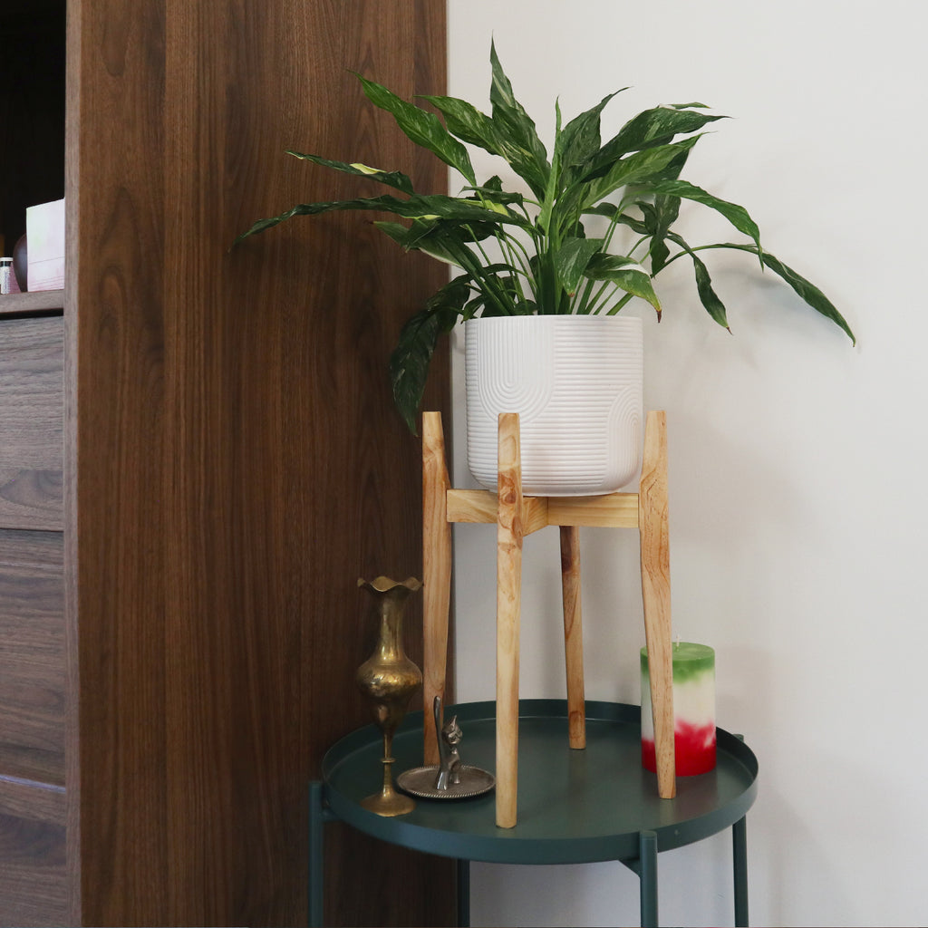 Japandi Plant Stand