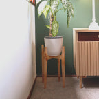 Japandi Plant Stand