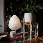 Japandi Plant Stand