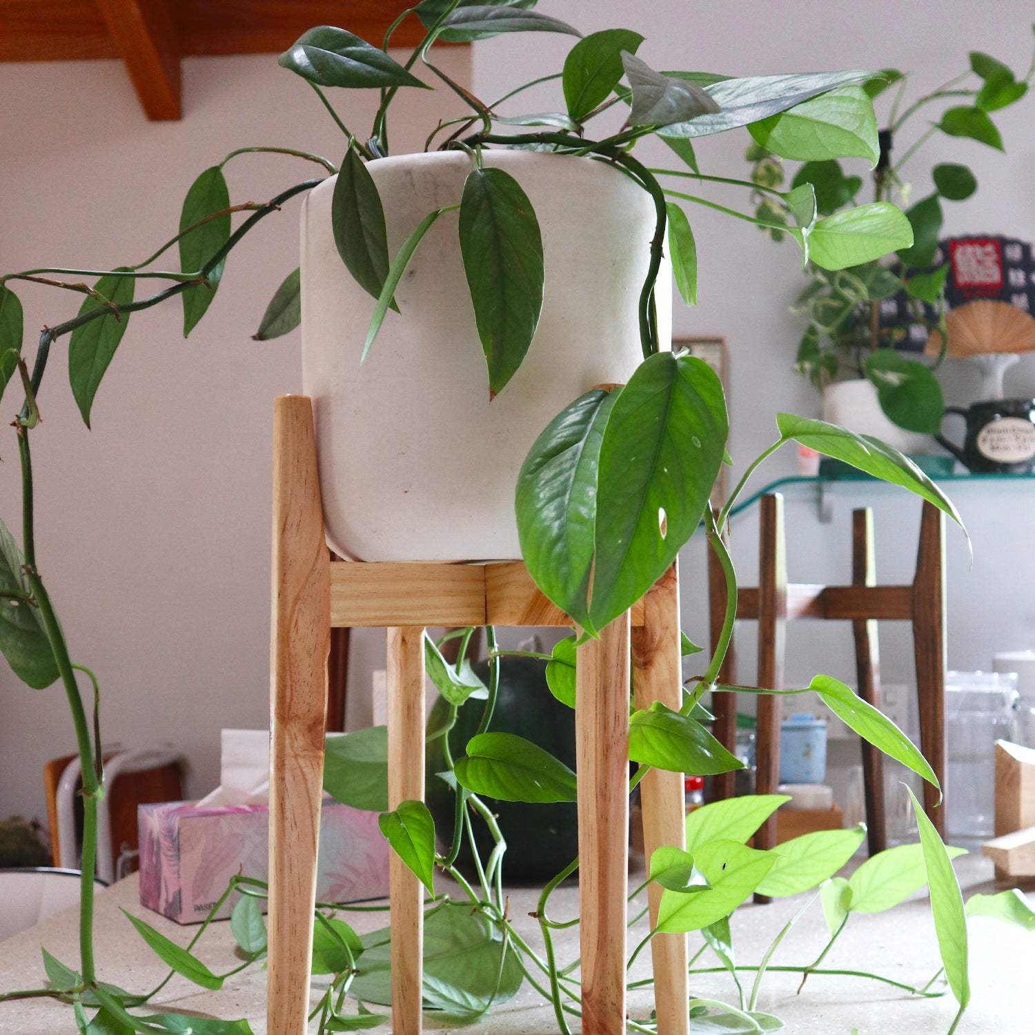 Japandi Plant Stand