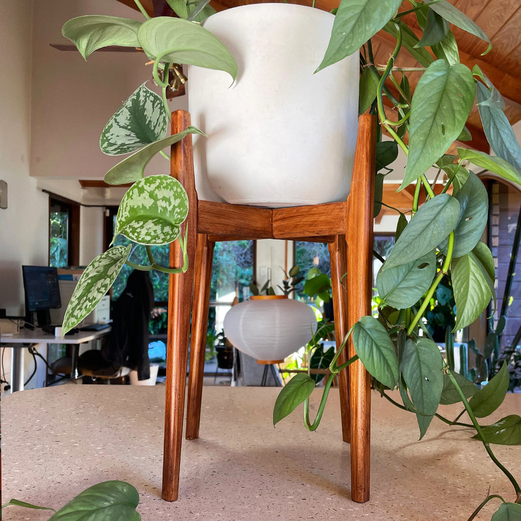Walnut Plant Stand
