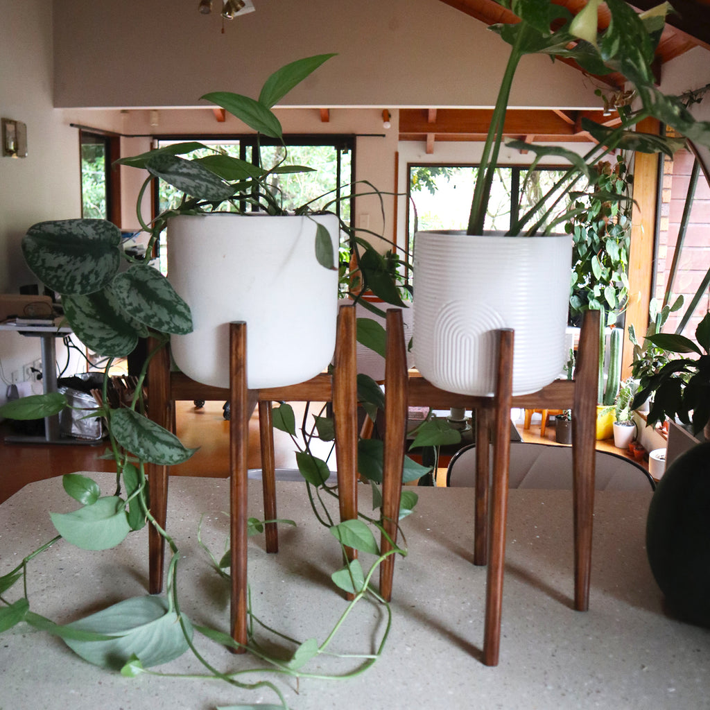 Walnut Plant Stand