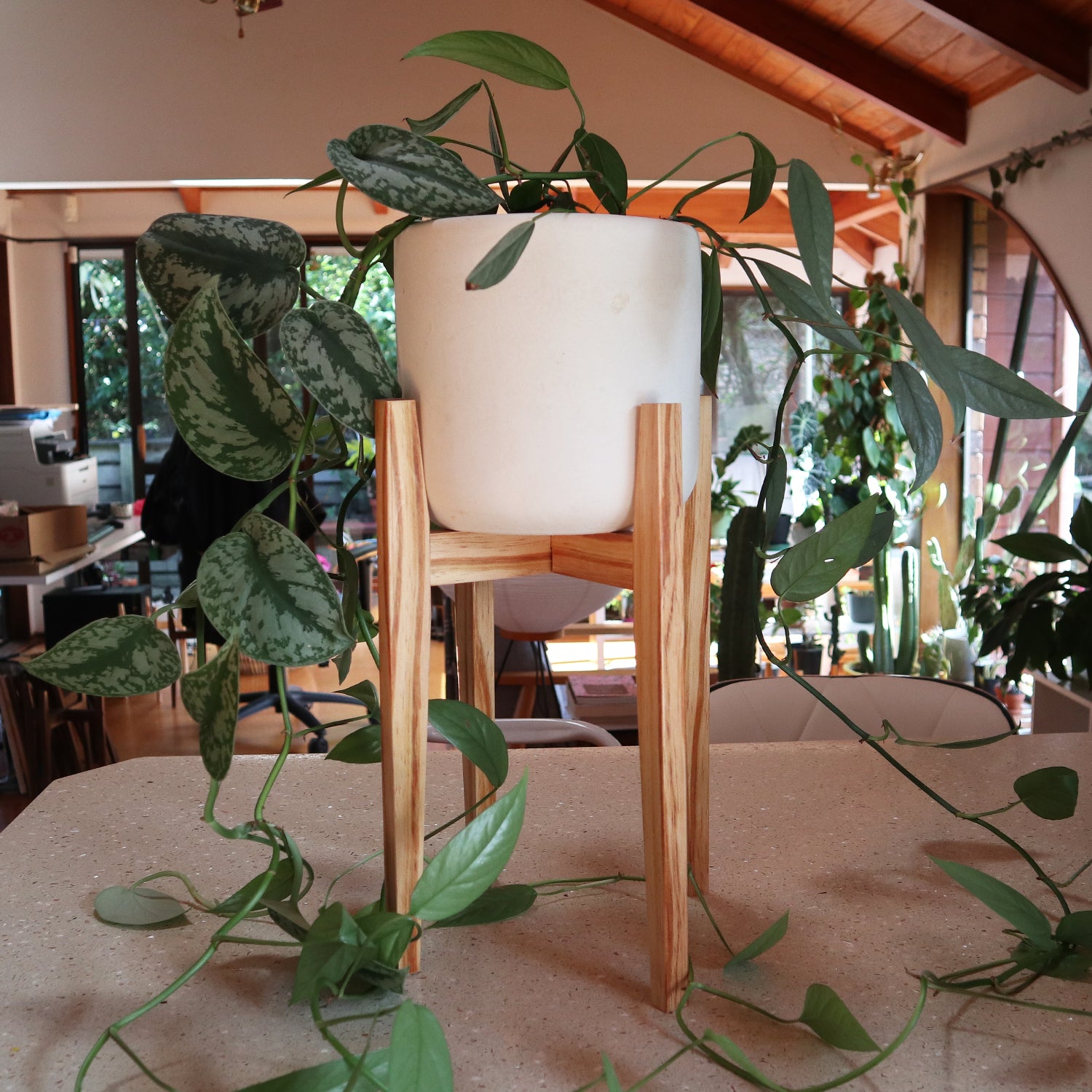 Resinous Plant Stand