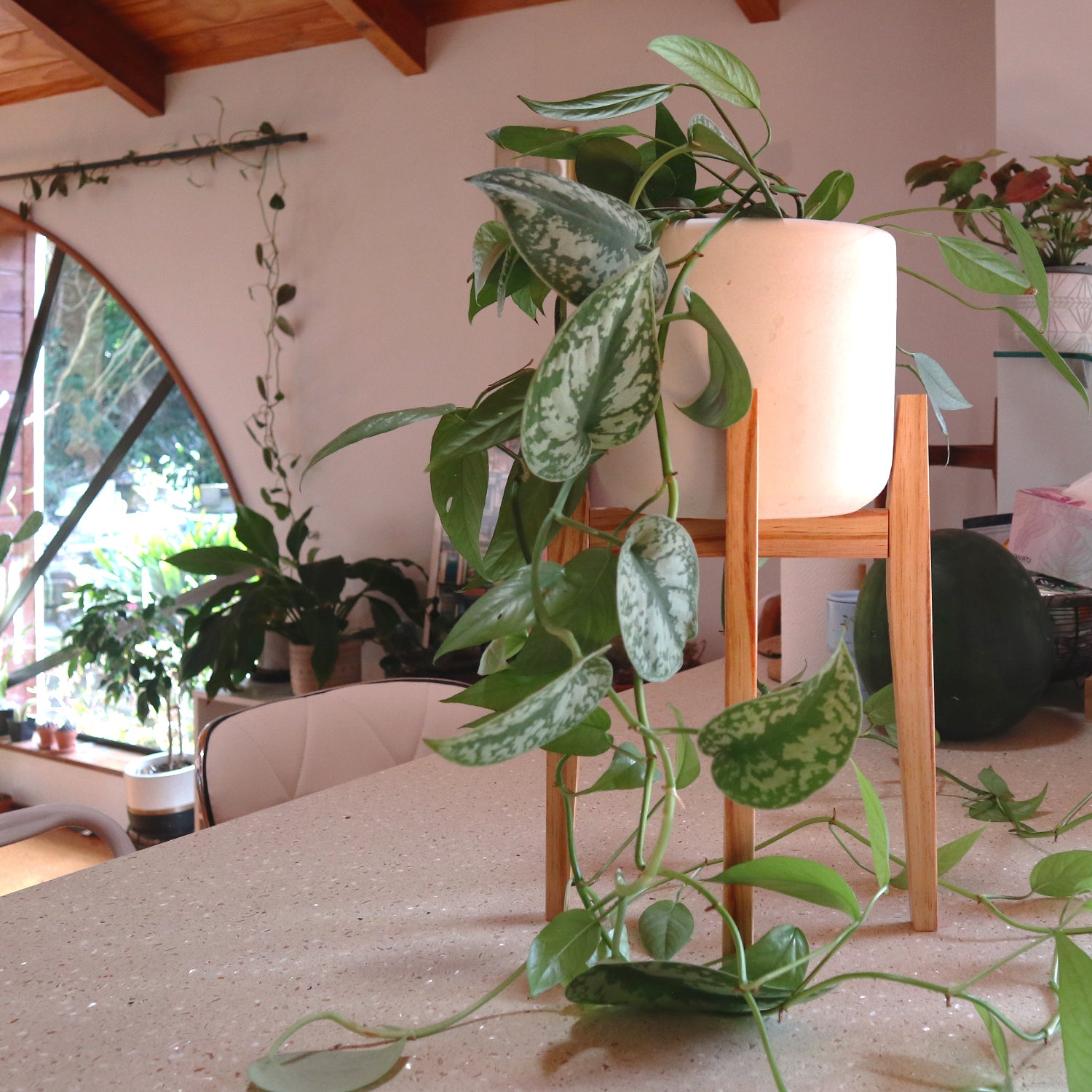 Resinous Plant Stand