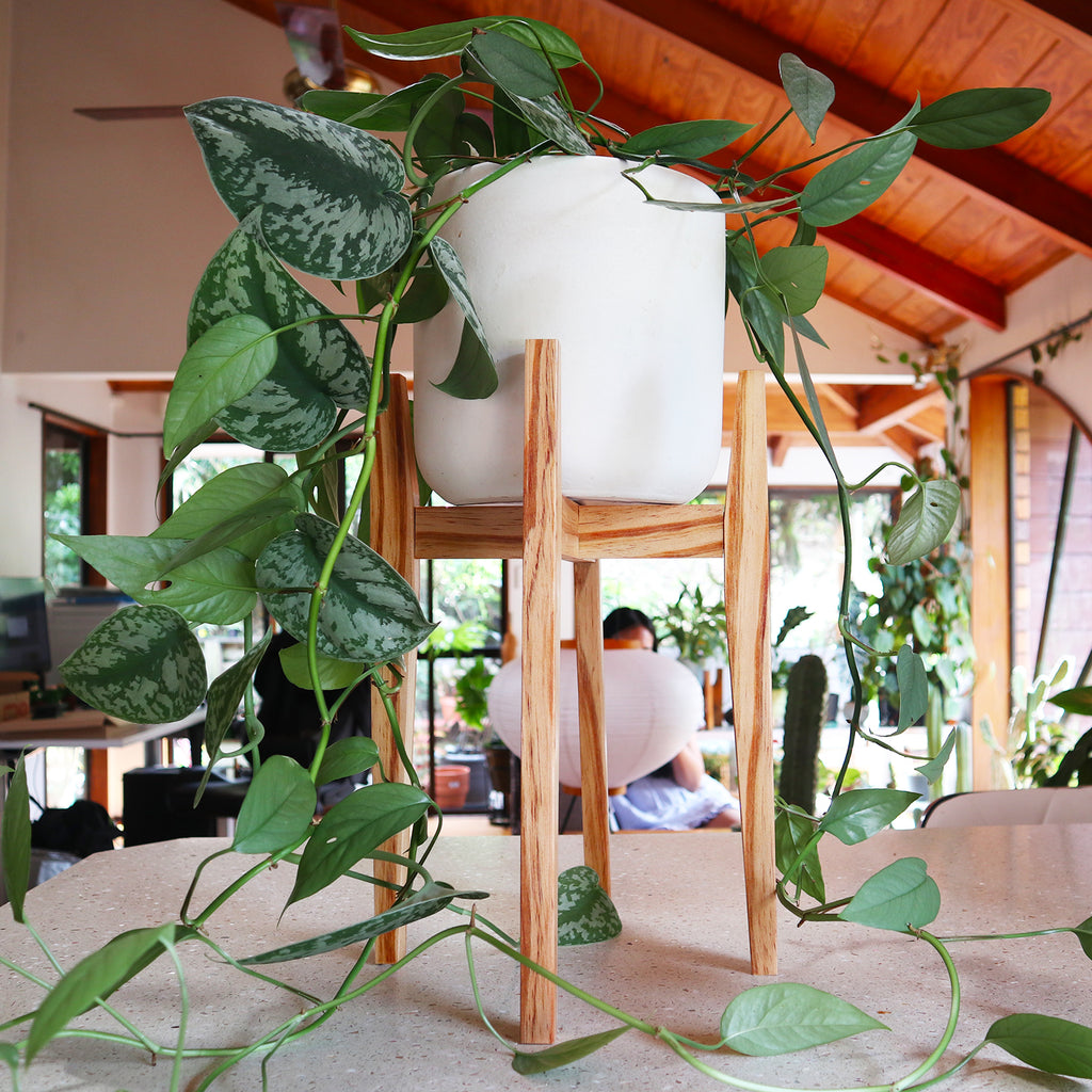 Resinous Plant Stand