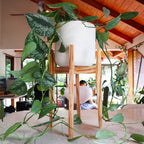 Resinous Plant Stand