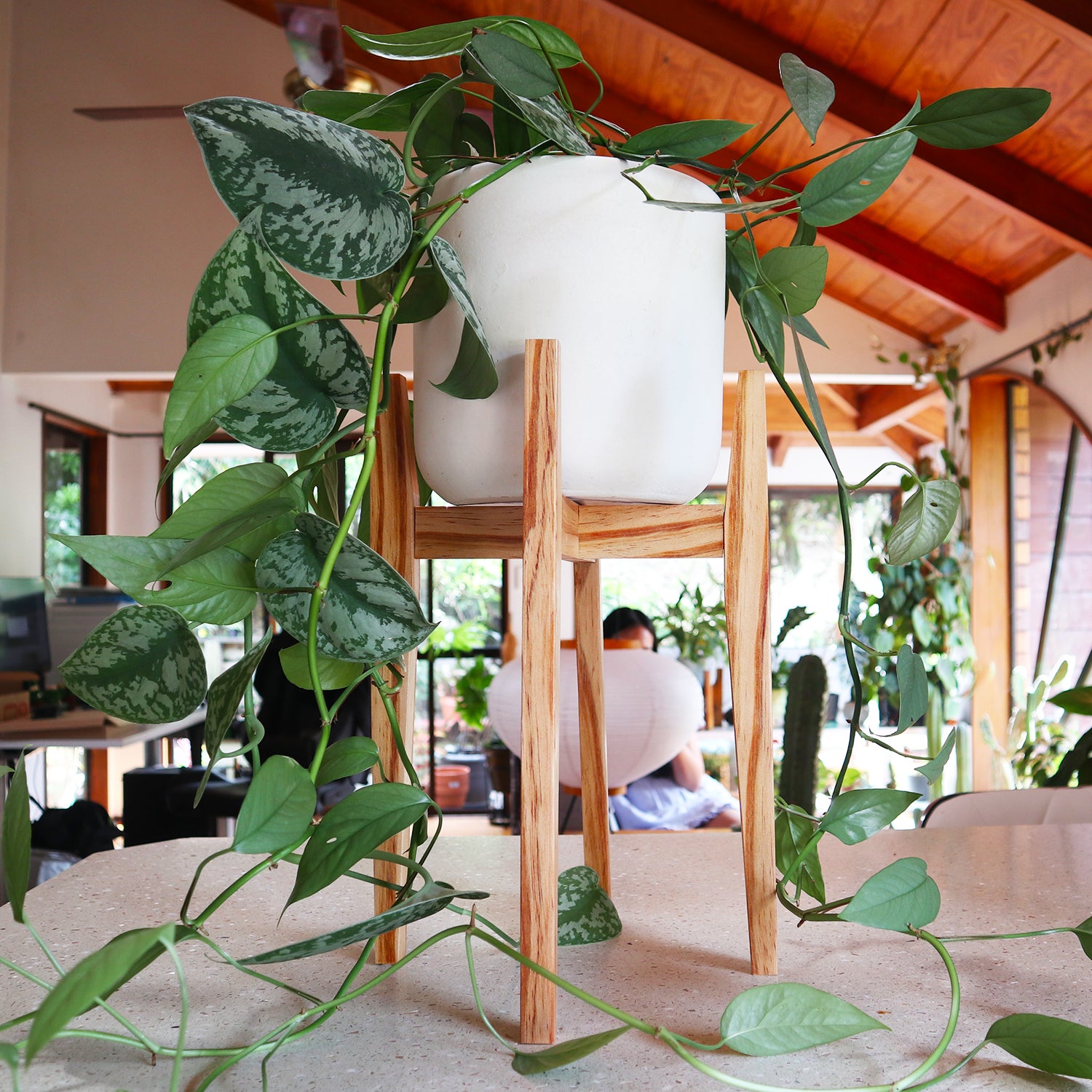 Resinous Plant Stand