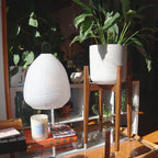 Walnut Plant Stand