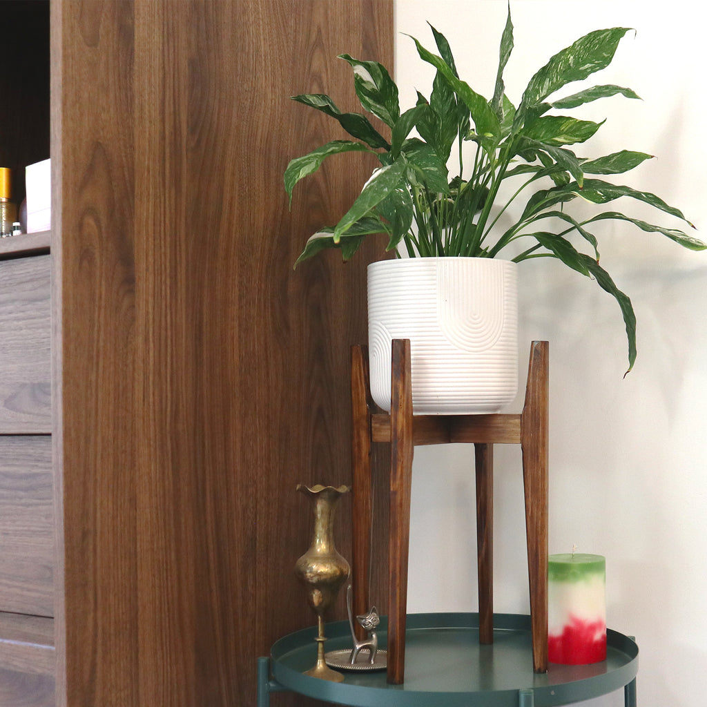 Walnut Plant Stand