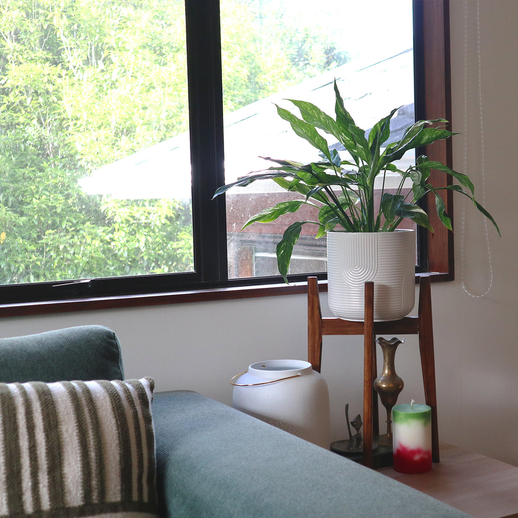 Walnut Plant Stand