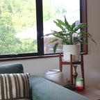 Walnut Plant Stand